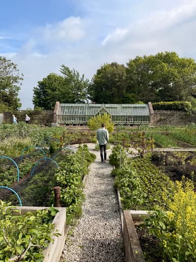 The Pig's kitchen garden in Dorset