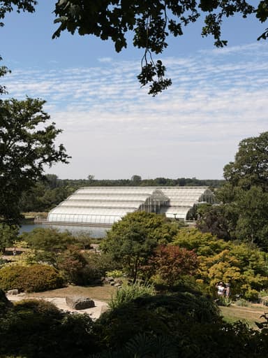 RHS Wisley in Summer