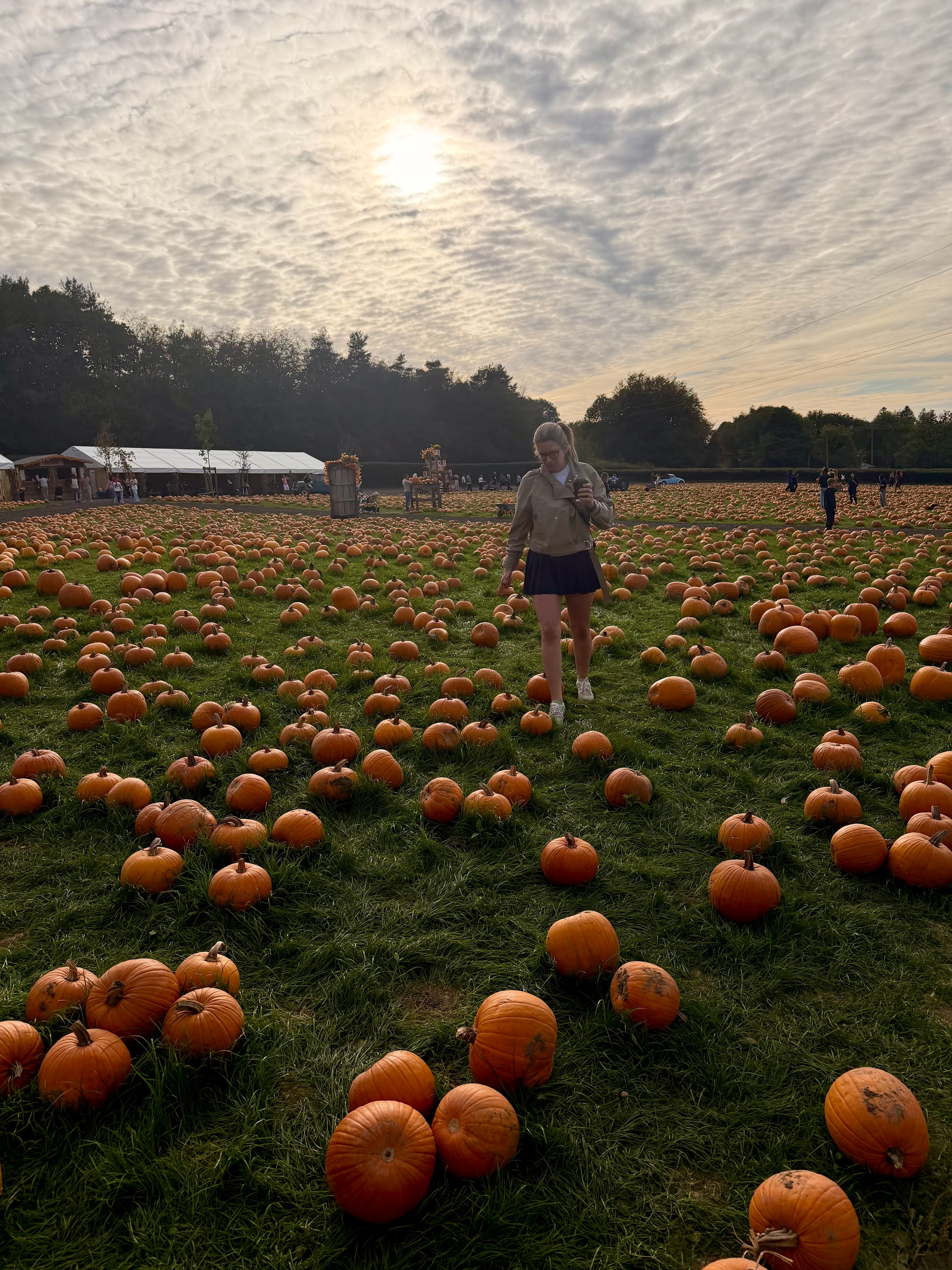 Walking through the pumpkin field under a low sun