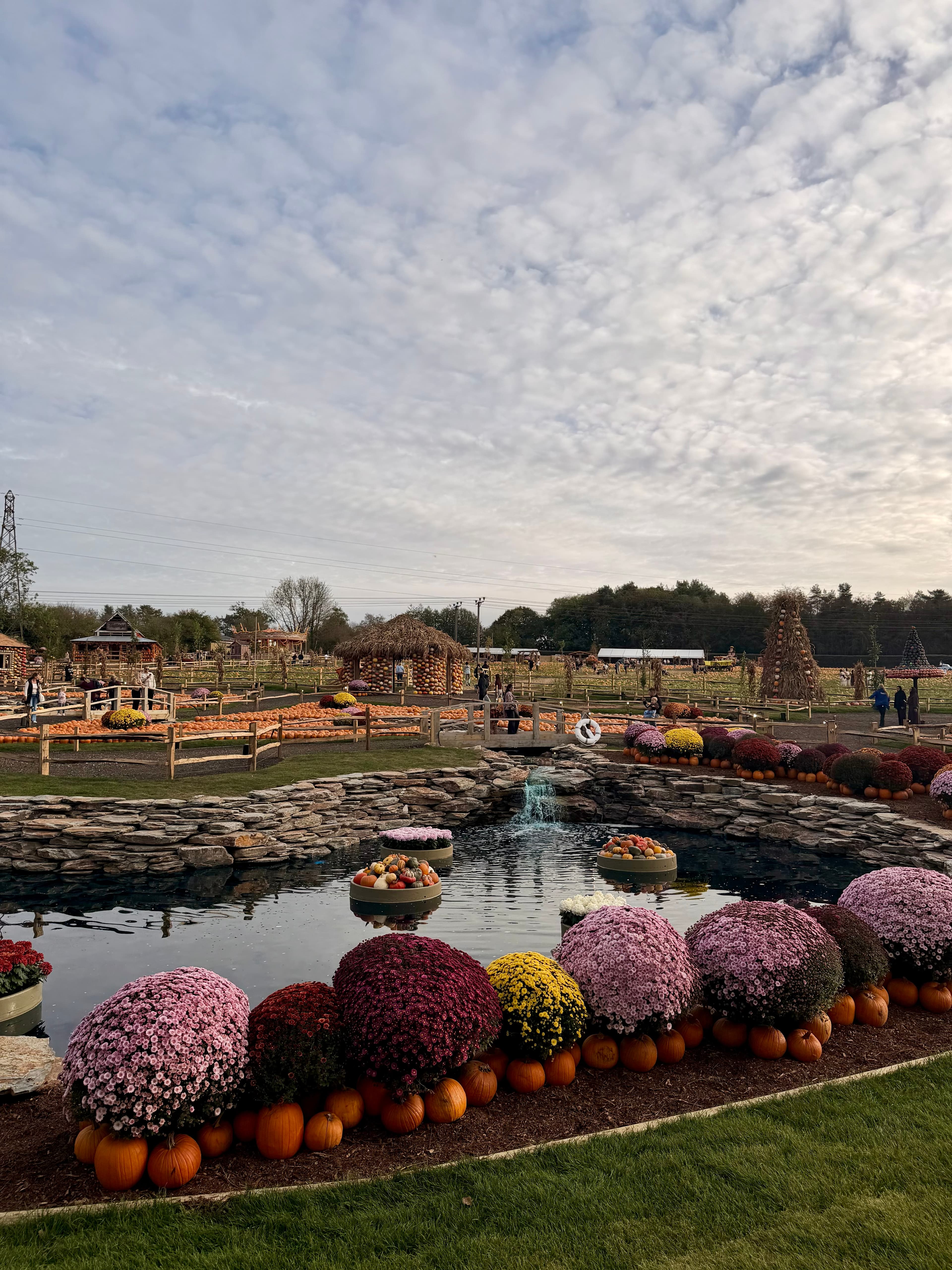 The pond ringed with chrysanthemums and little pumpkins