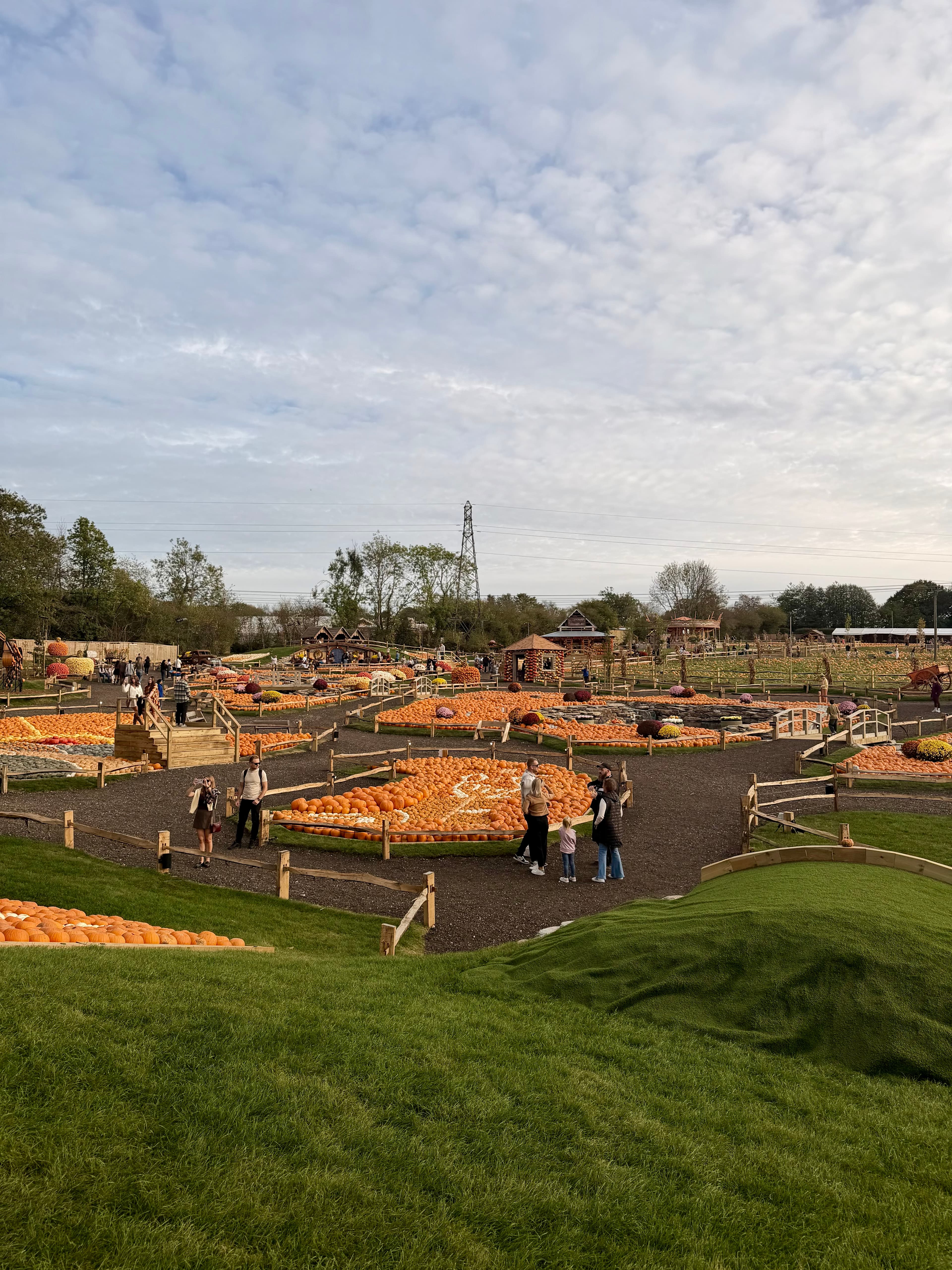The display gardens laid out in rings and spirals of pumpkins