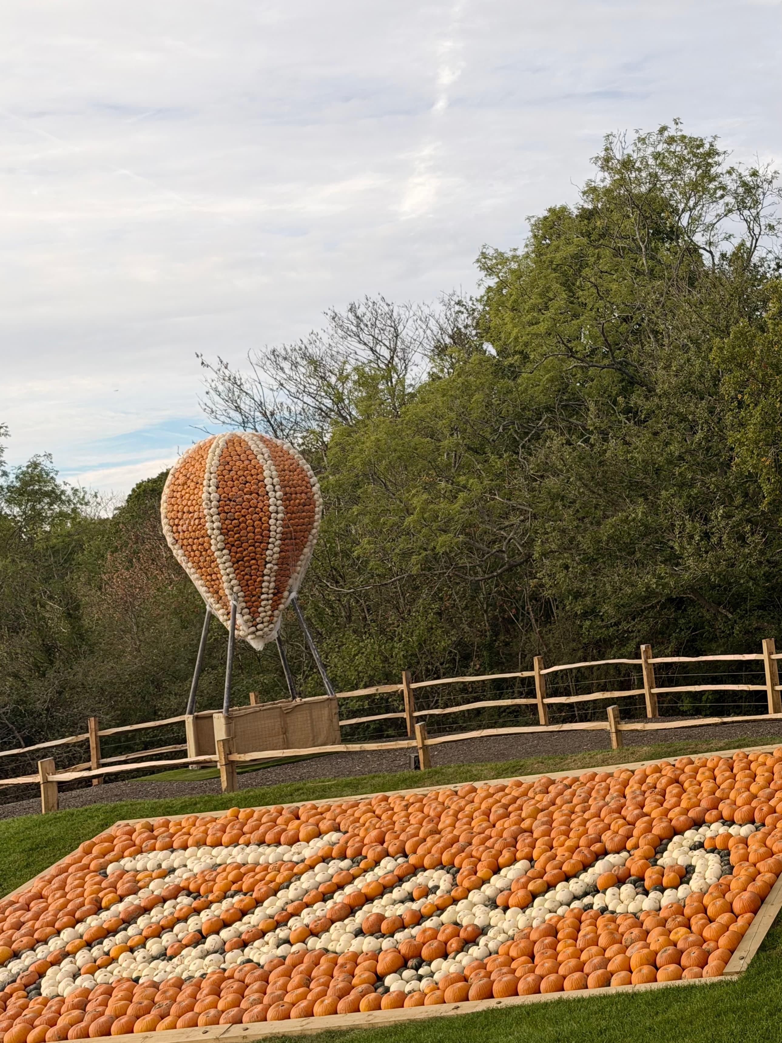 A hot-air balloon made of orange and white pumpkins