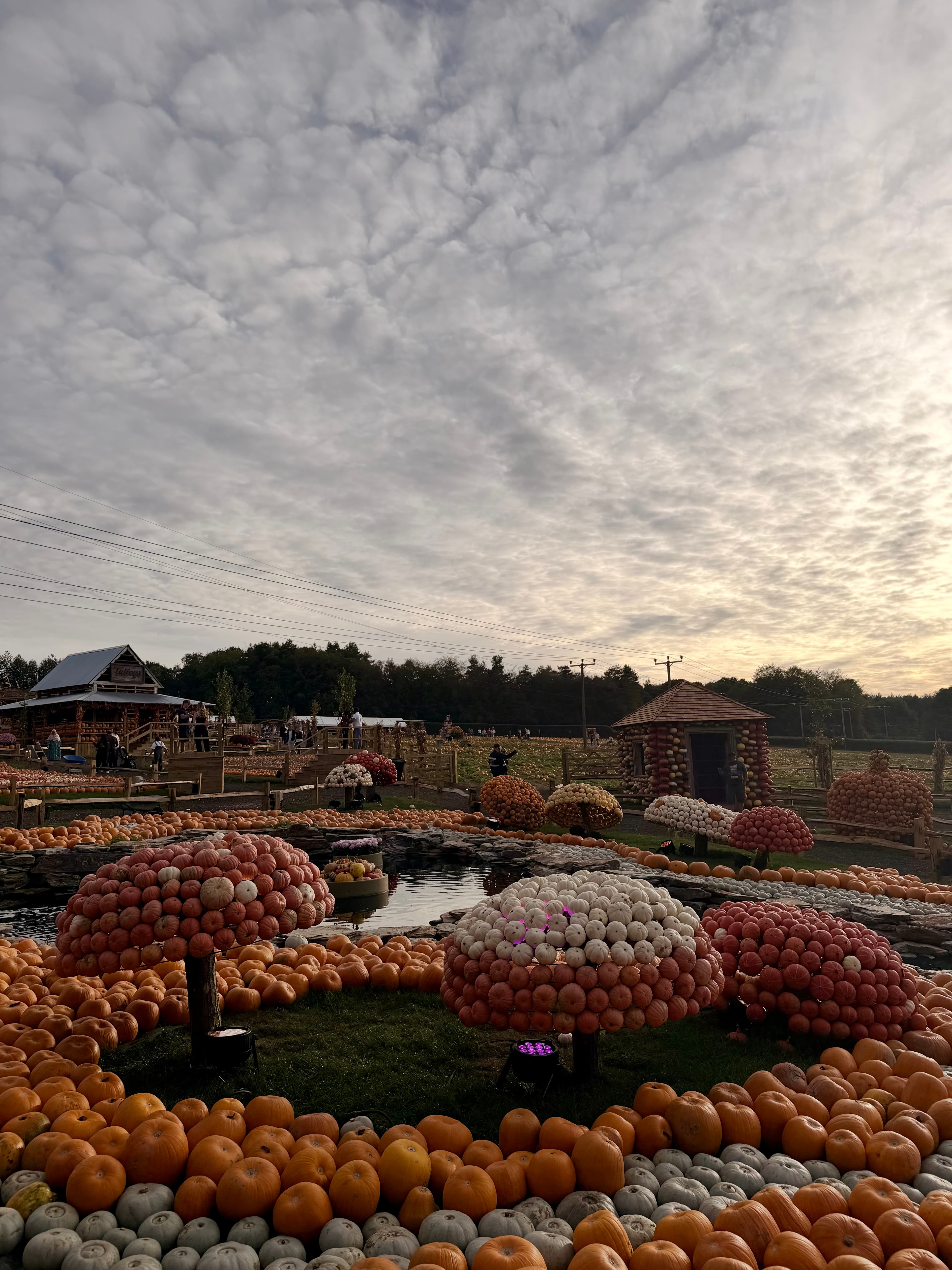 Pumpkin toadstools by the pond under a rippled sky