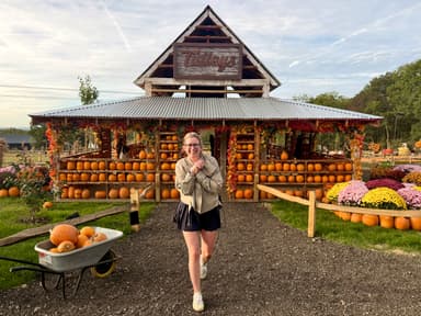 Pumpkin Patch at Tulleys Farm
