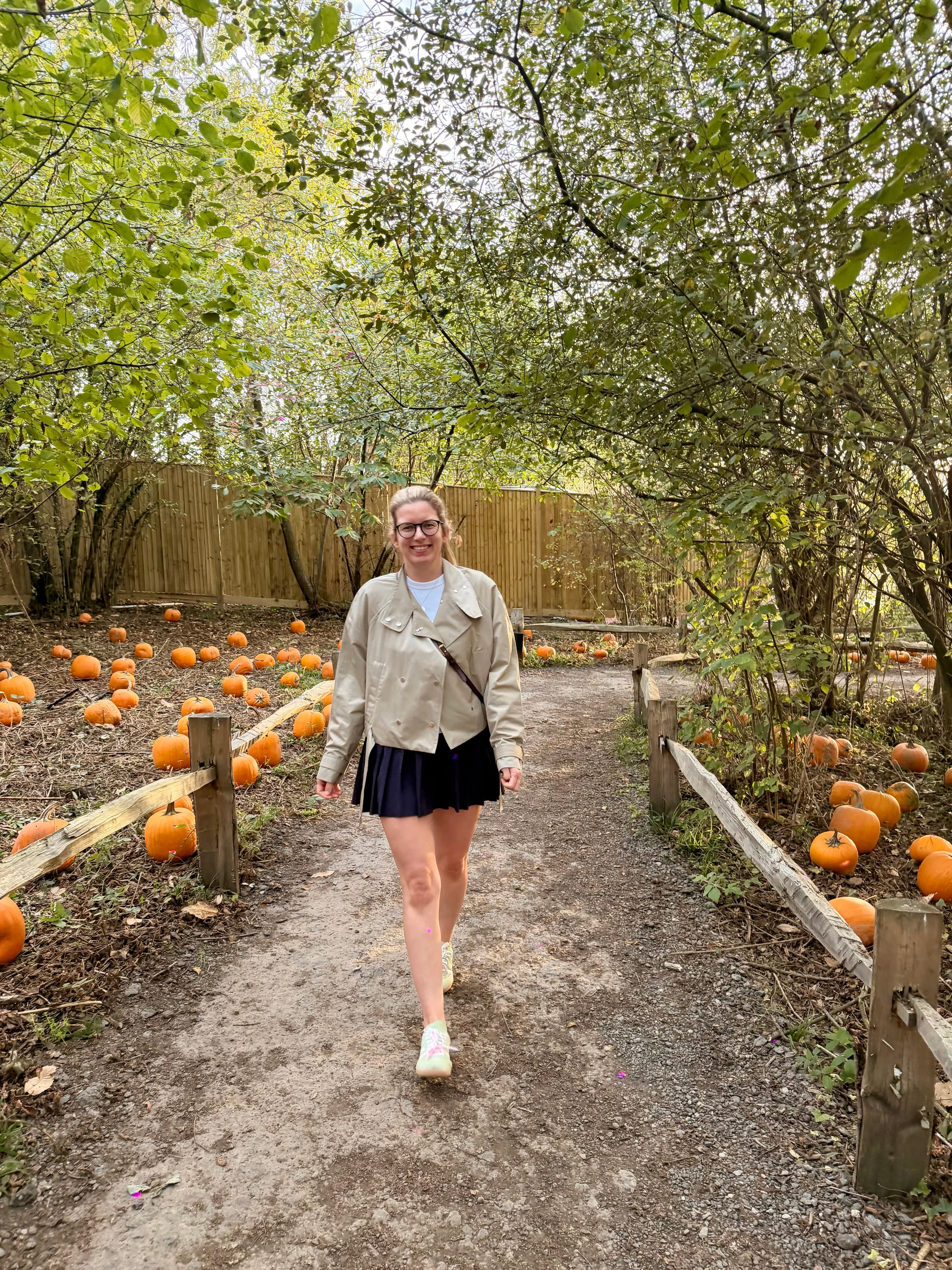 A woodland path lined with pumpkins