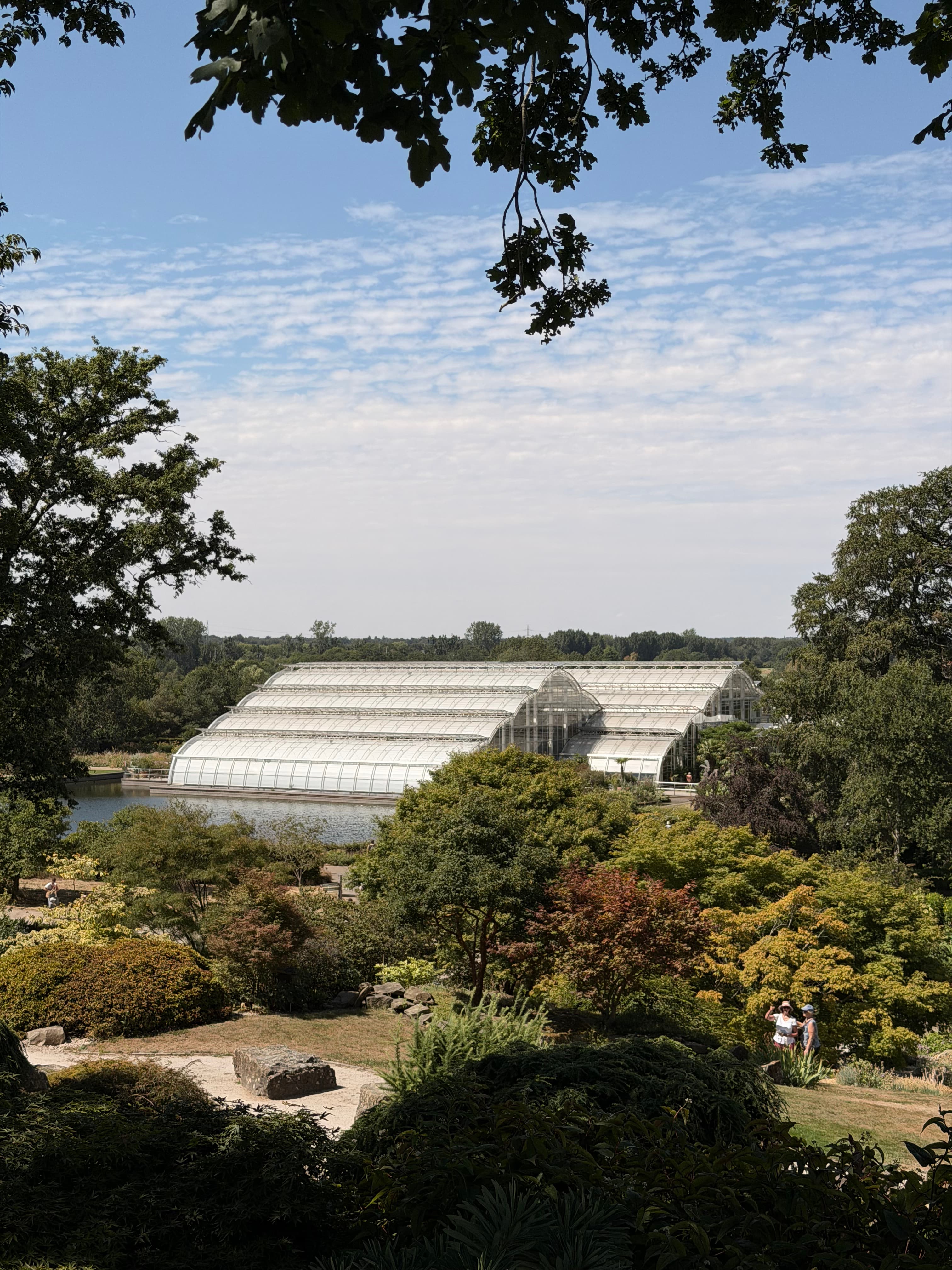 RHS Wisley in Summer